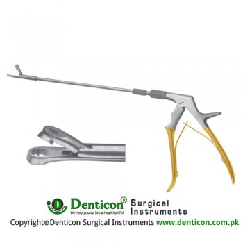 Eppendorf Biopsy Forcep Complete Detachable Handle Stainless Steel, 25.5 cm - 10"